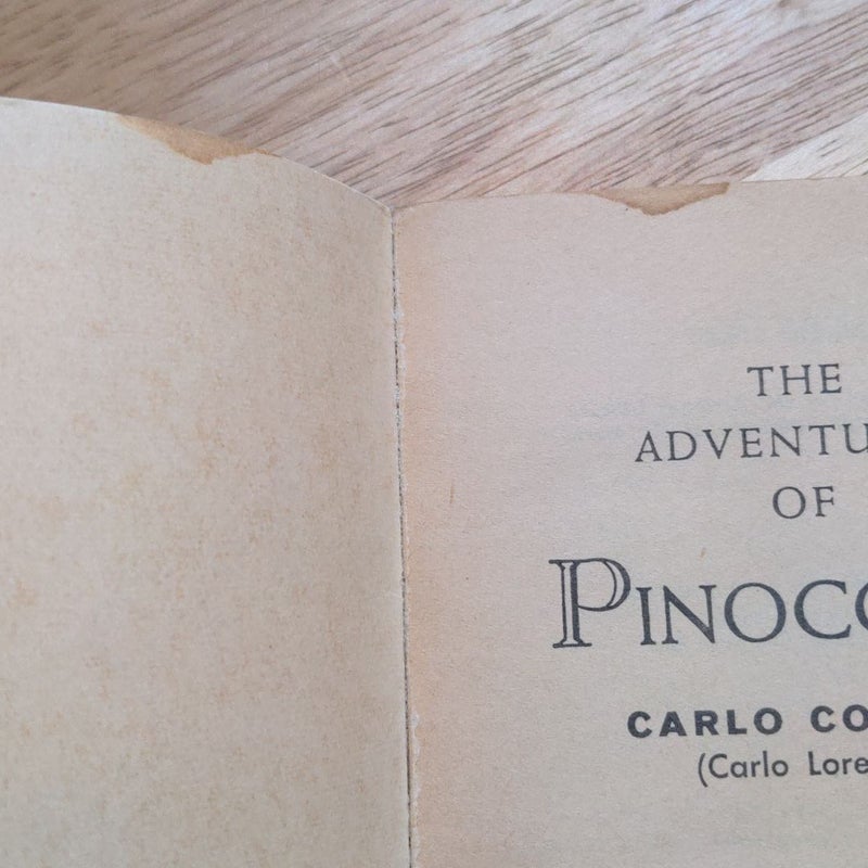 The Adventures of Pinocchio 