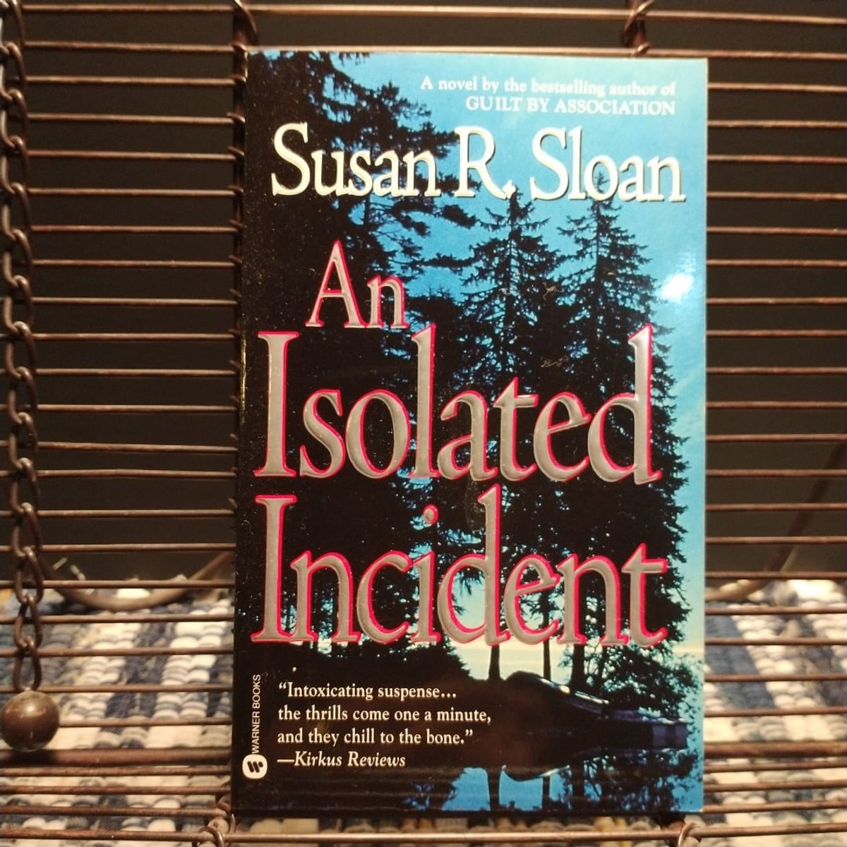 An Isolated Incident by Susan R. Sloan