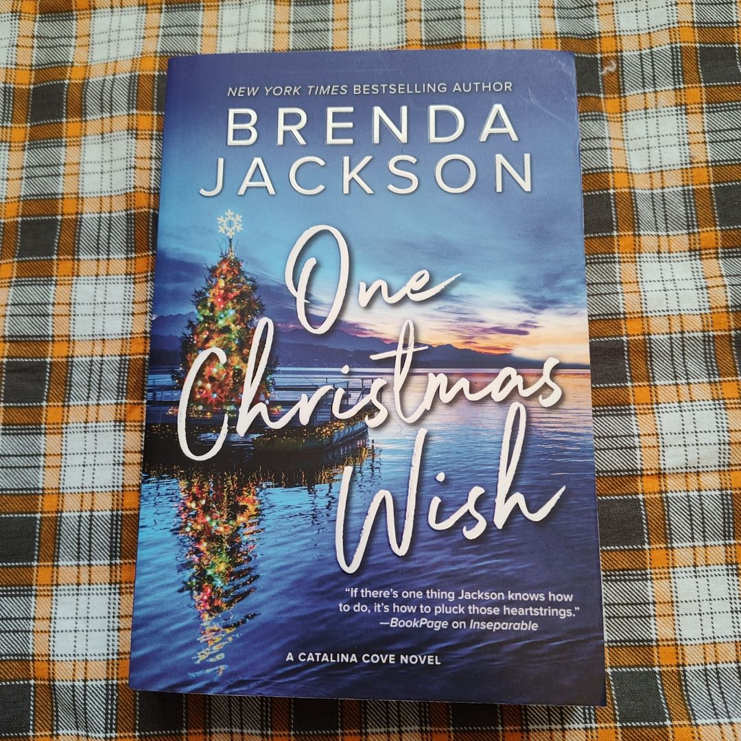 One Christmas Wish