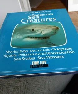 Dangerous sea creatures