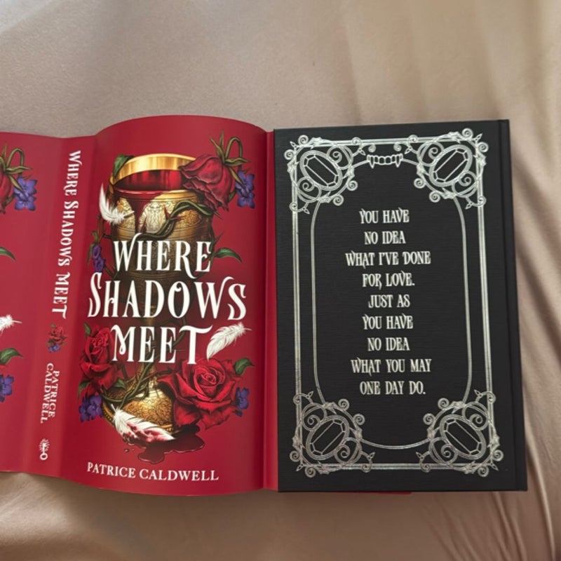 Where Shadows Meet