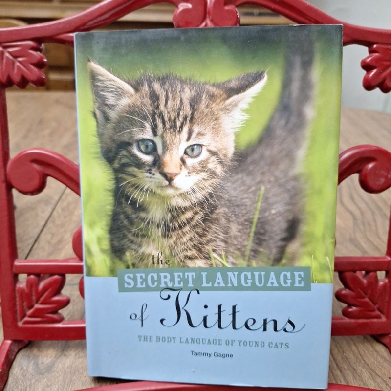 The Secret Language of Kittens