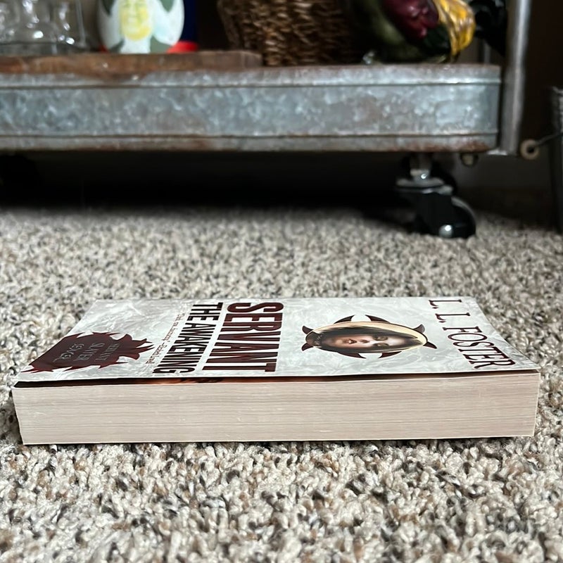 Servant: the Awakening