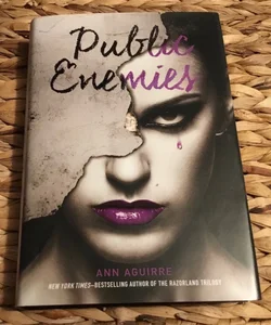 Public Enemies