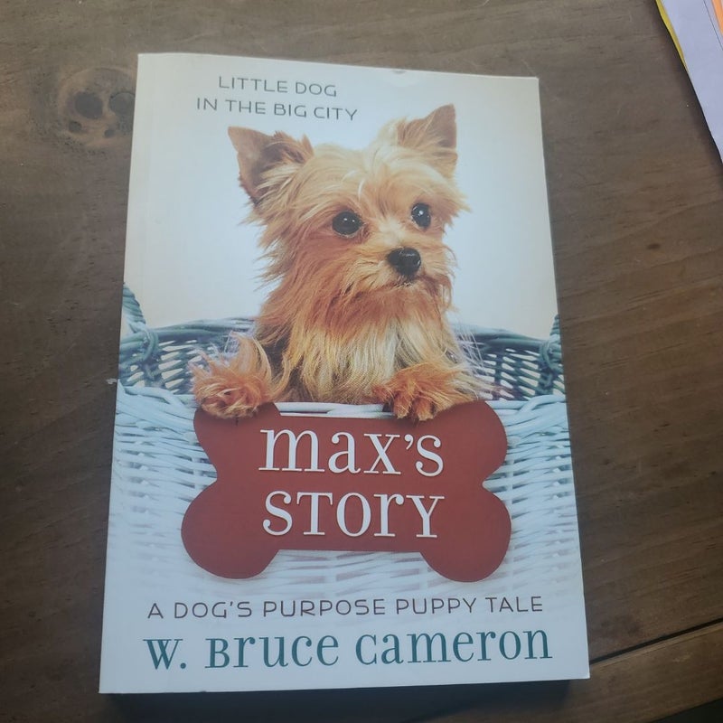 Max's Story