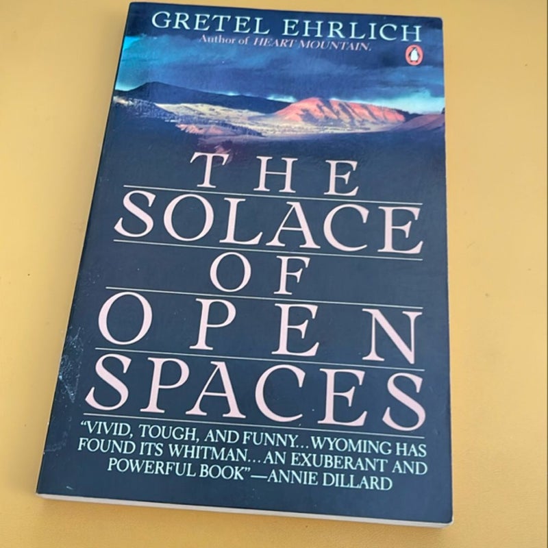 The Solace of Open Spaces