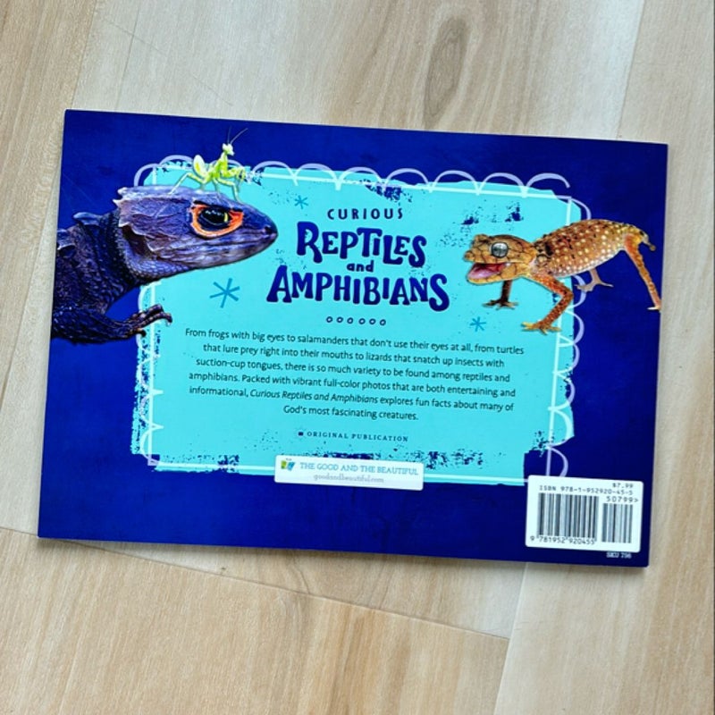 Curious Reptiles and Amphibians