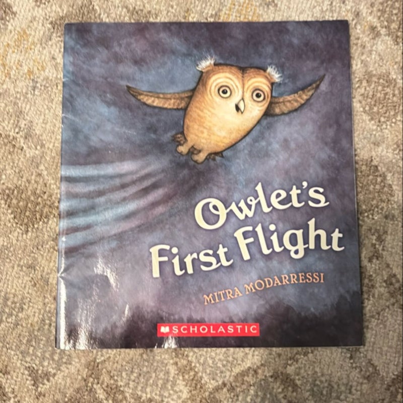 Owlet’s First Flight