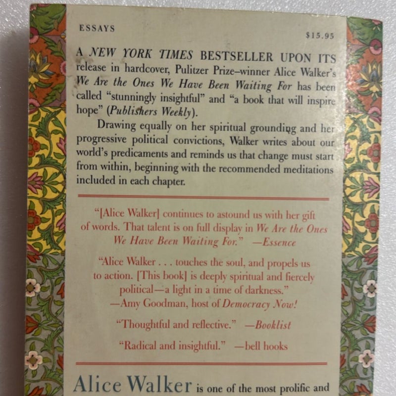 We Are the Ones We Have Been Waiting For