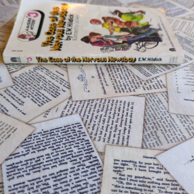 A McGurk Mystery #3: The Case of the Nervous Newsboy