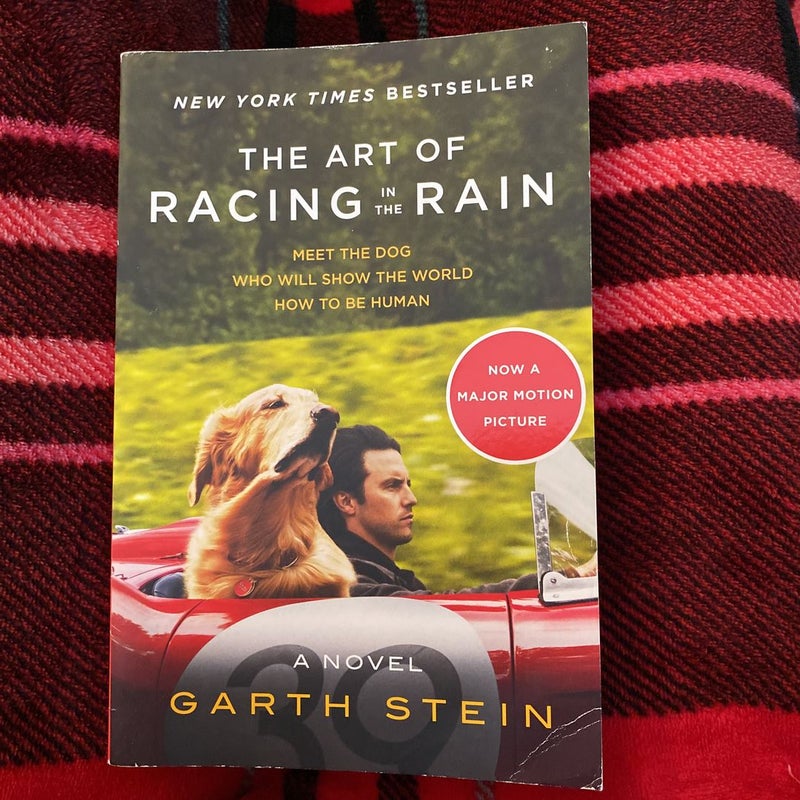 The Art of Racing in the Rain Tie-In