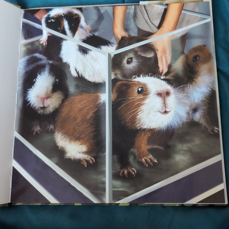 The Tale of Gillie Guinea Pig