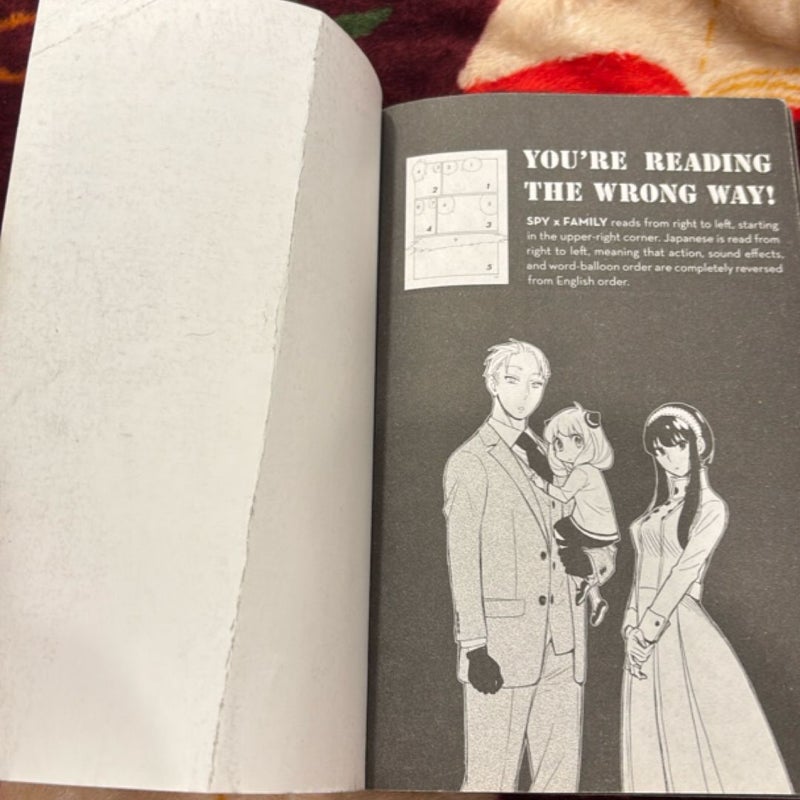 Spy X Family, Vol. 8