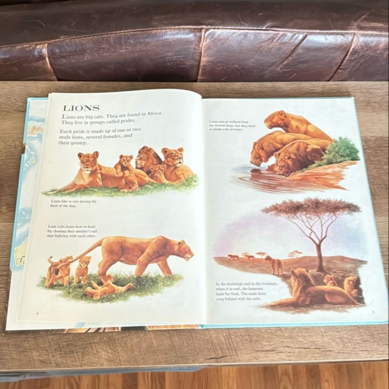 My First Book of Animals