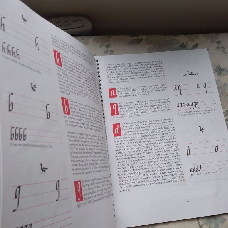 Calligraphy Made Easy