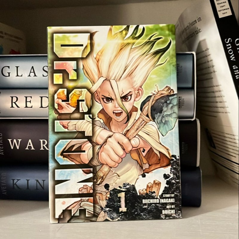 Dr. STONE, Vol. 1