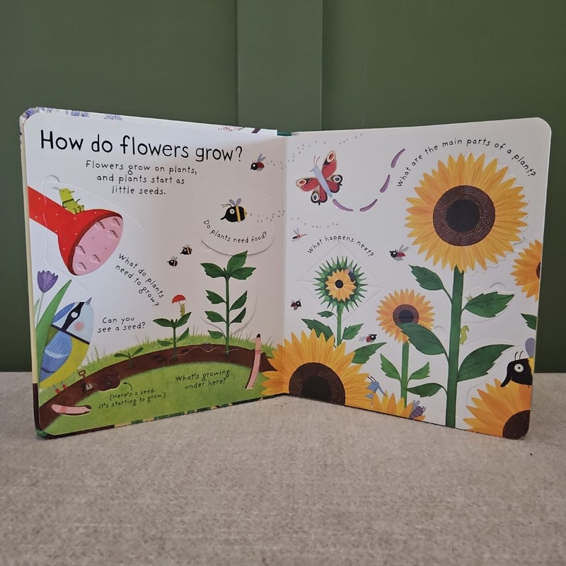 How do flowers grow?