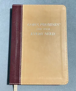 Gods Promises For Every Need