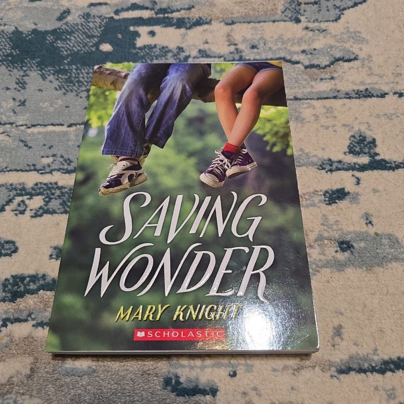 Saving Wonder