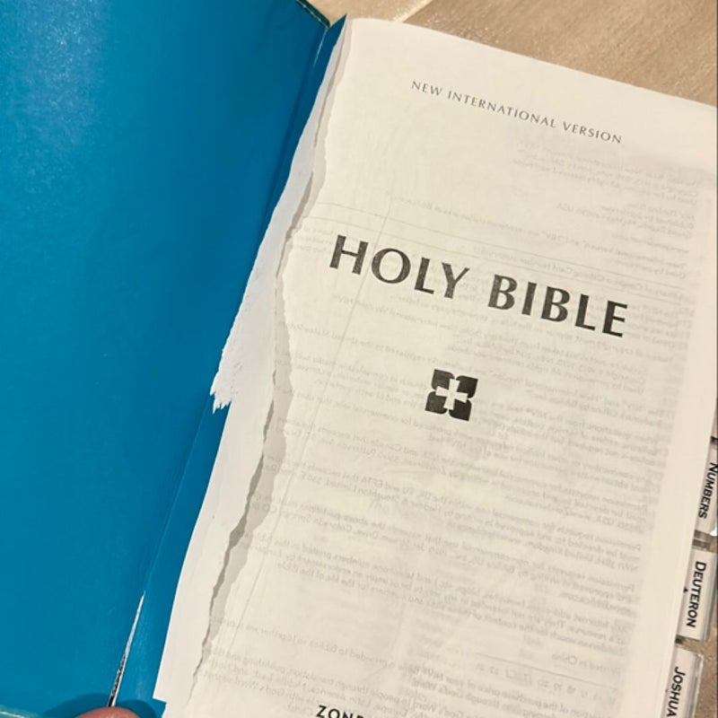 Niv Bible for Teens