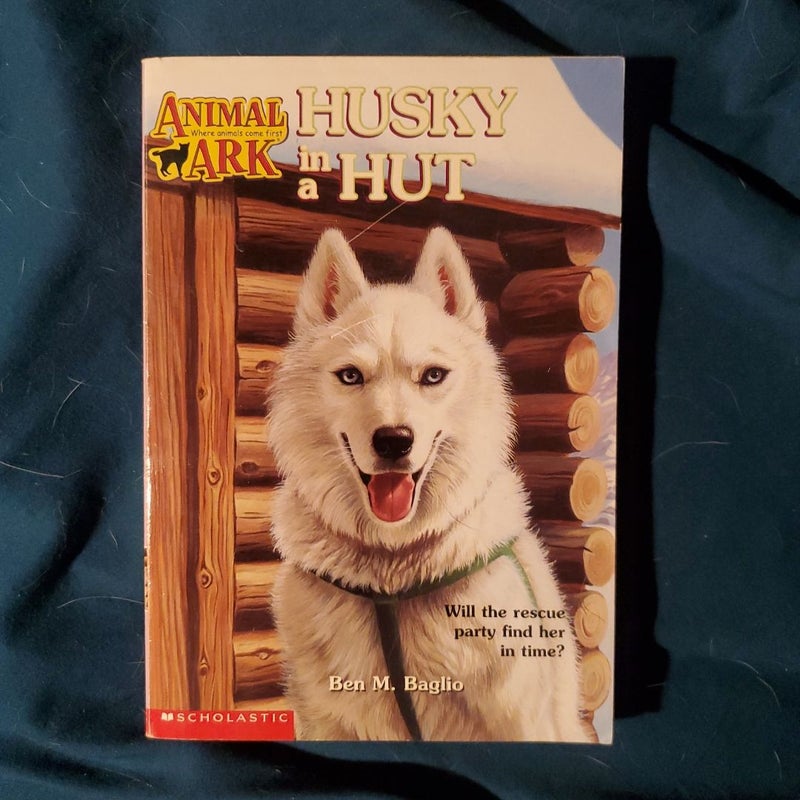 Husky in a Hut