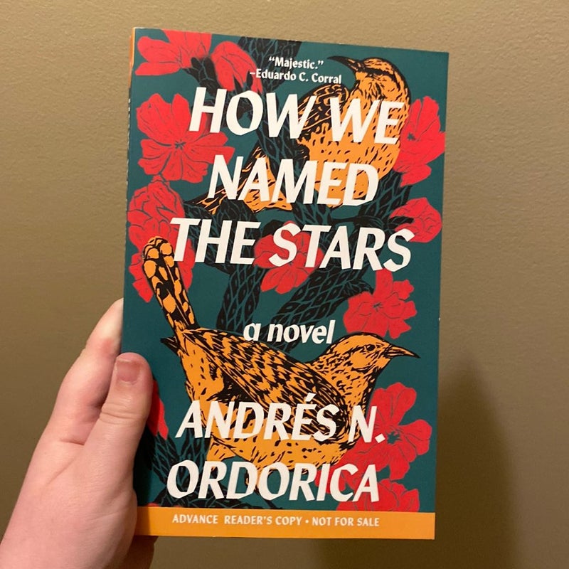 How We Named the Stars