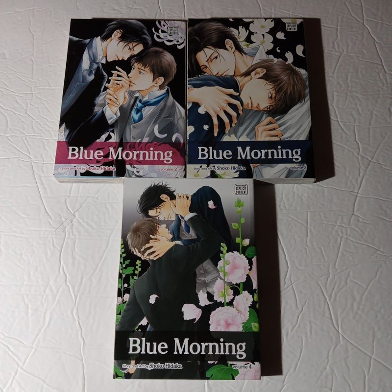 Blue Morning, Vol. 2-4