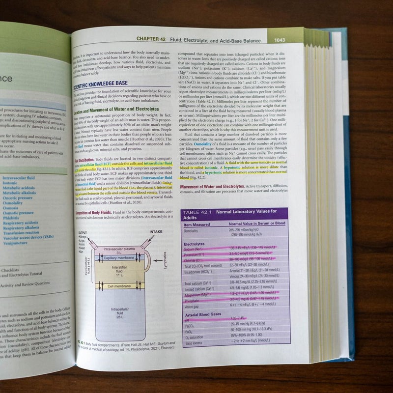 Fundamentals of Nursing 11th Edition with Code