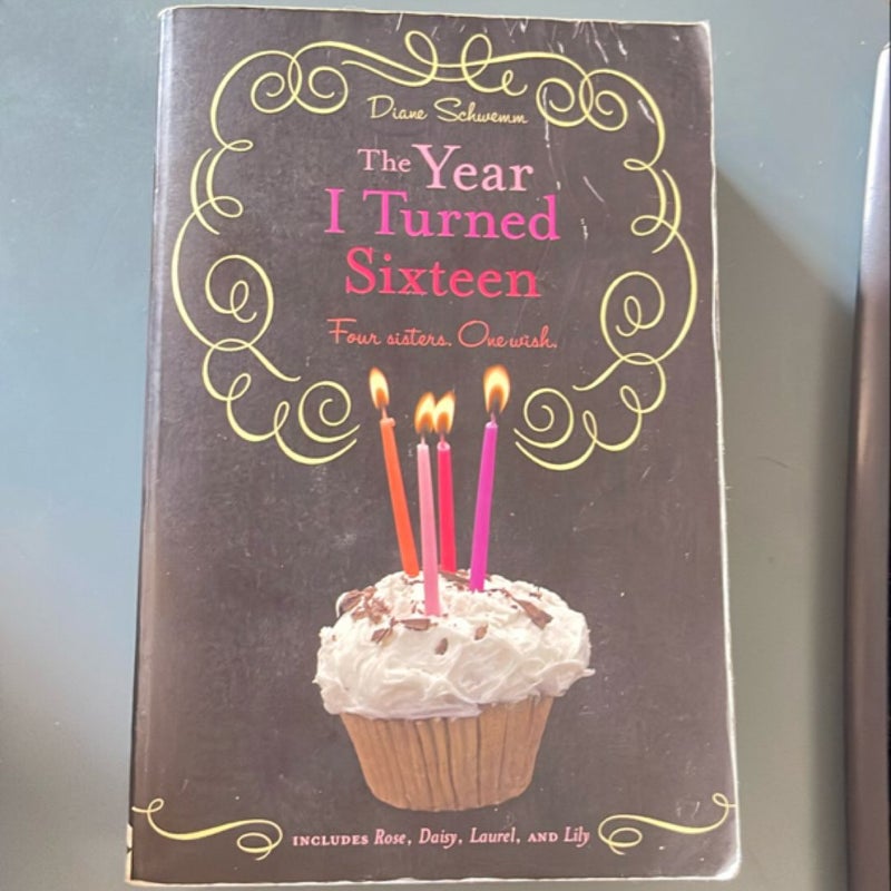 The Year I Turned Sixteen