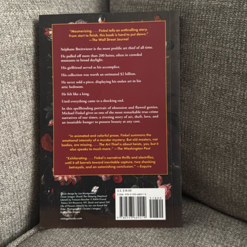 The Art Thief (B&N edition)