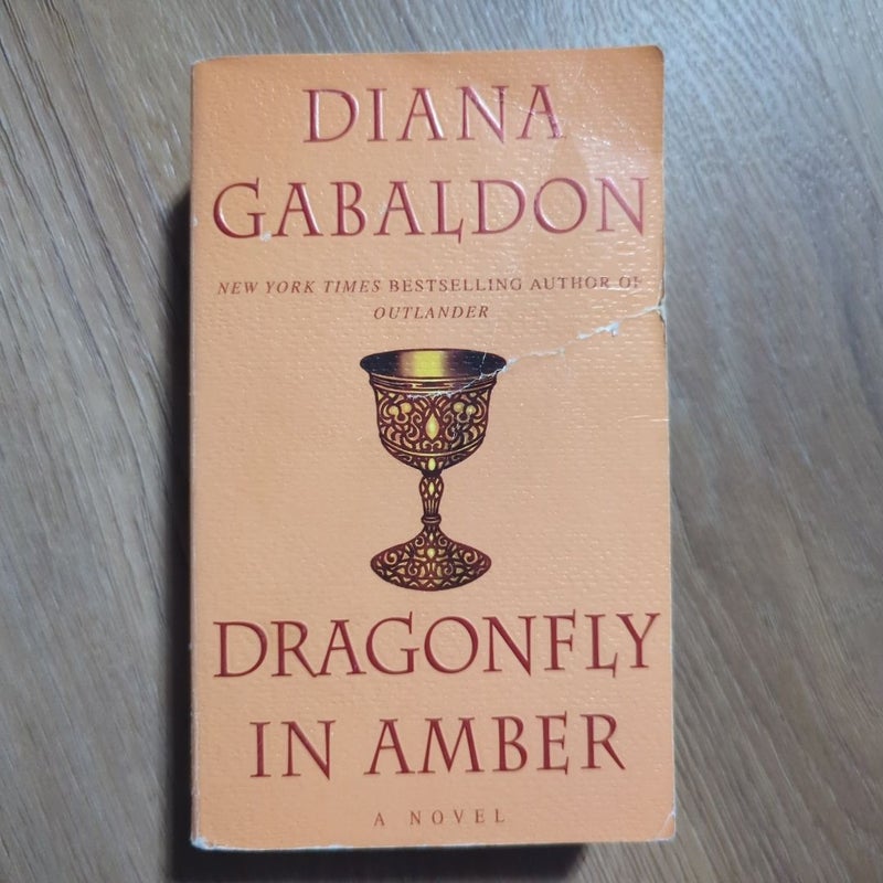 Dragonfly in Amber