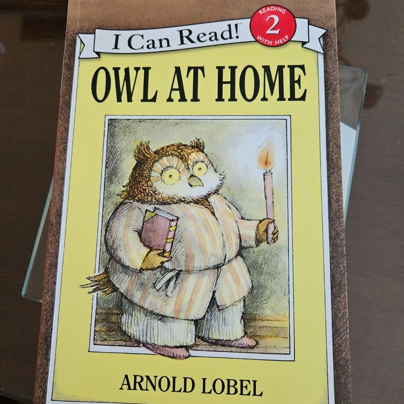 Owl at Home