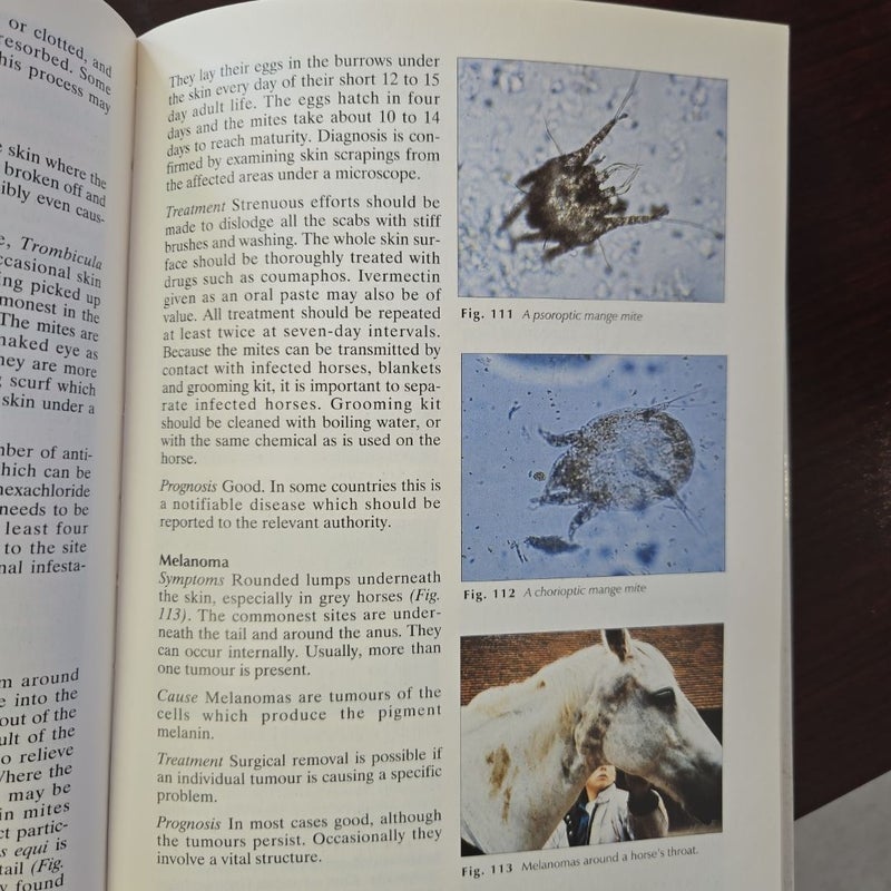 Illustrated Guide to Veterinary Care of Horses