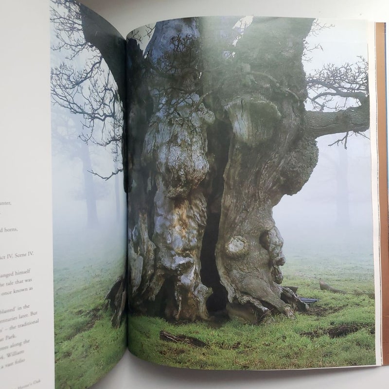 Meetings with Remarkable Trees