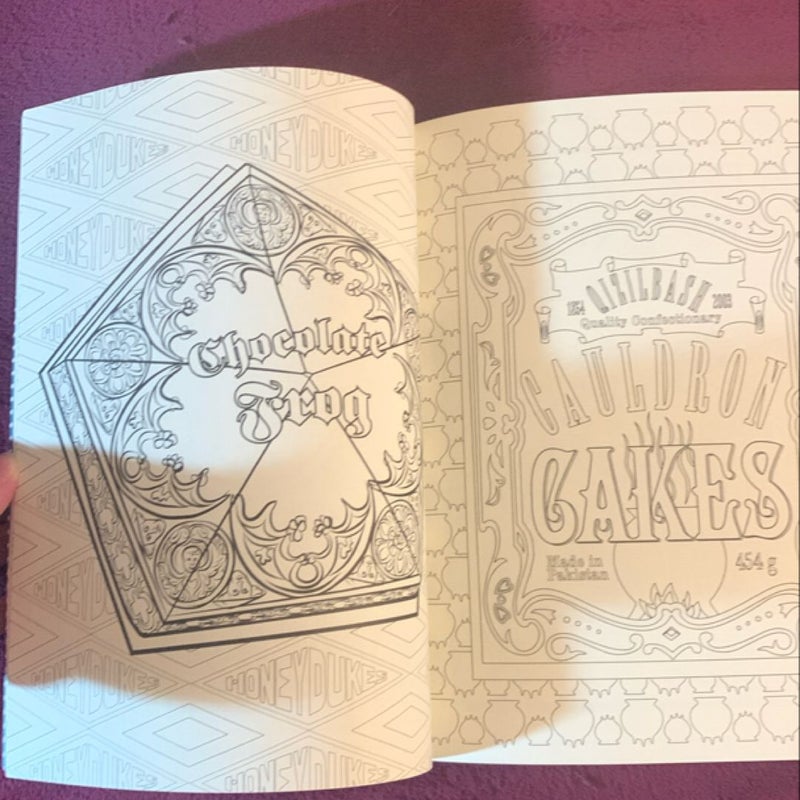 Harry Potter: Magical Artifacts Coloring Book