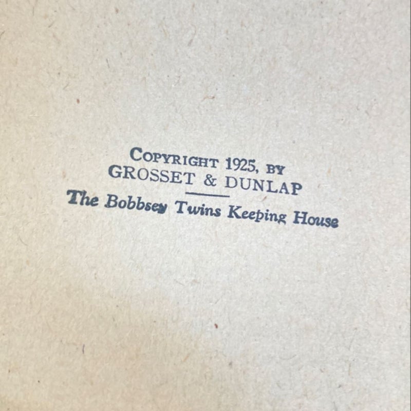 The Bobbsey Twins Keeping House (VINTAGE 1925)