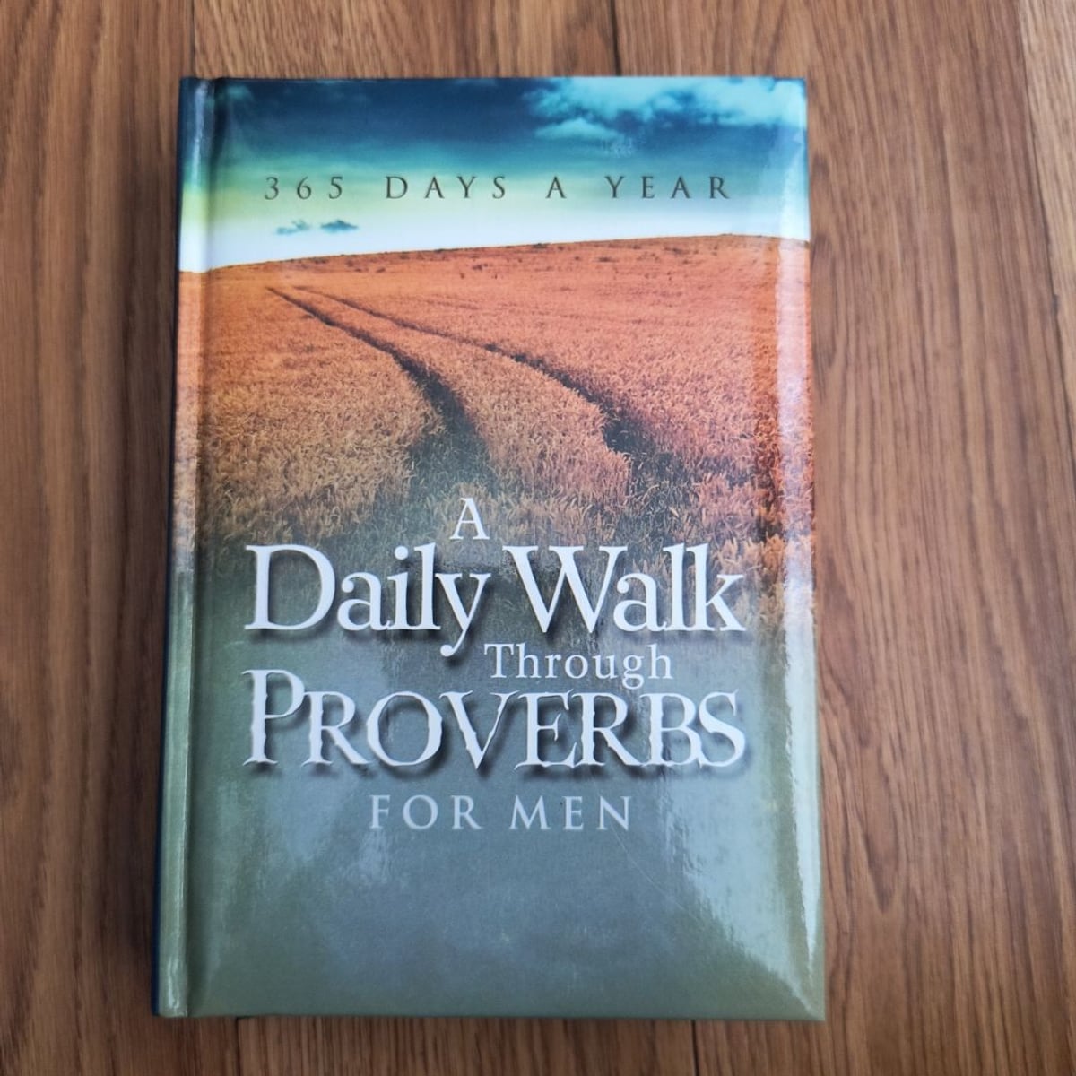 A Daily Walk Through Proverbs for Men by Freeman-Smith