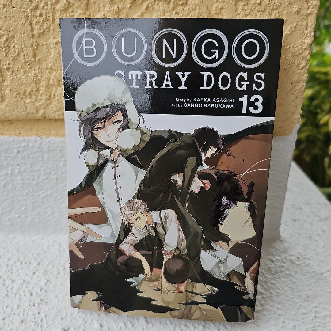 Bungo Stray Dogs, Vol. 13