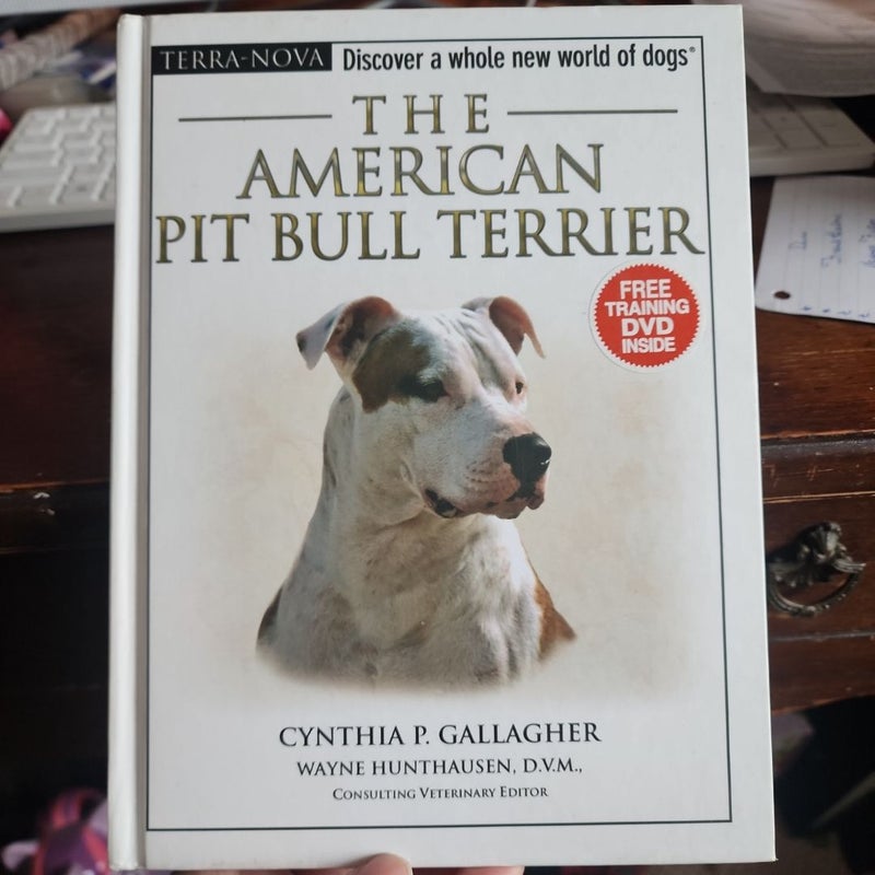 The American Pit Bull Terrier