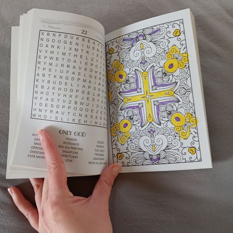 3 Word Search Books