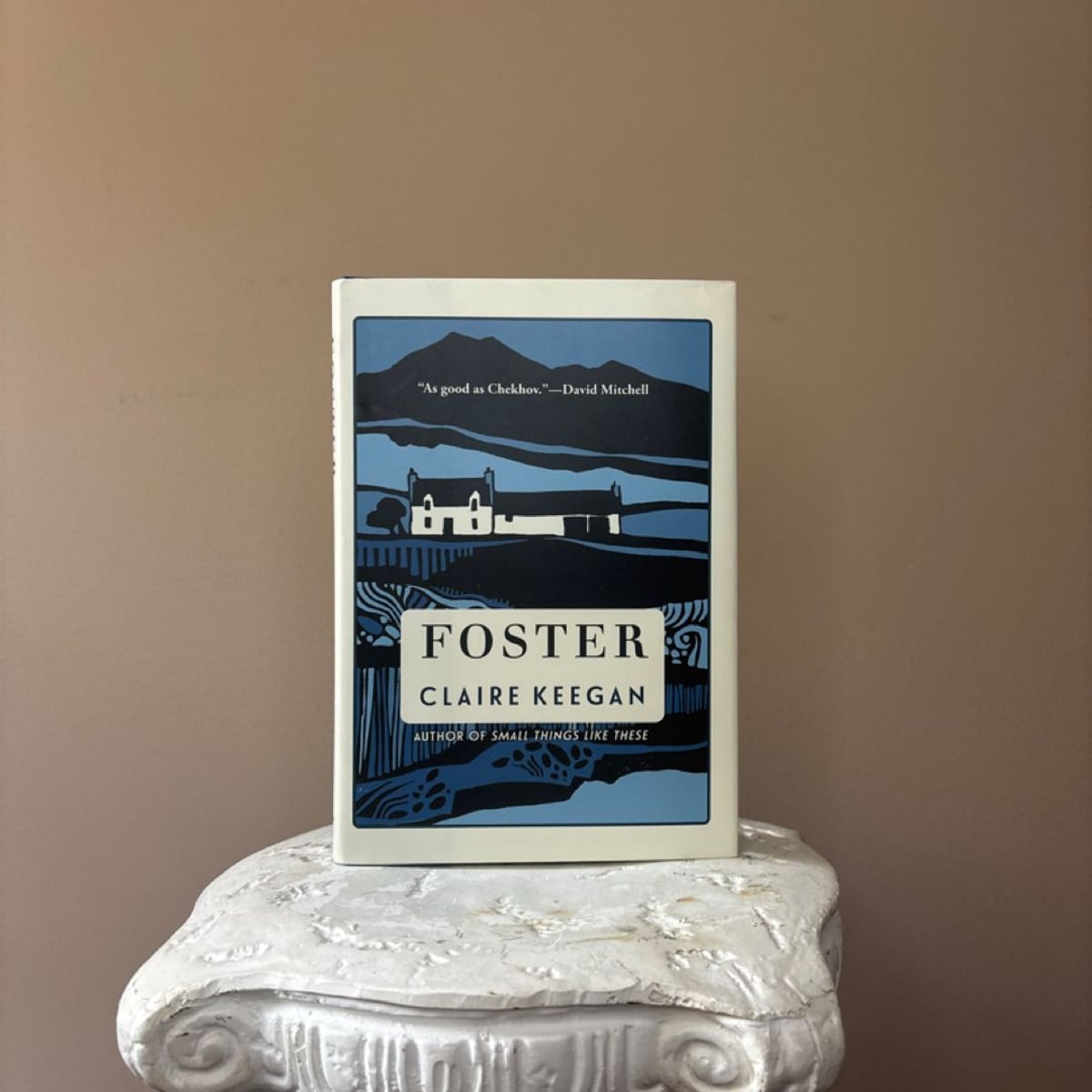 Foster by Claire Keegan