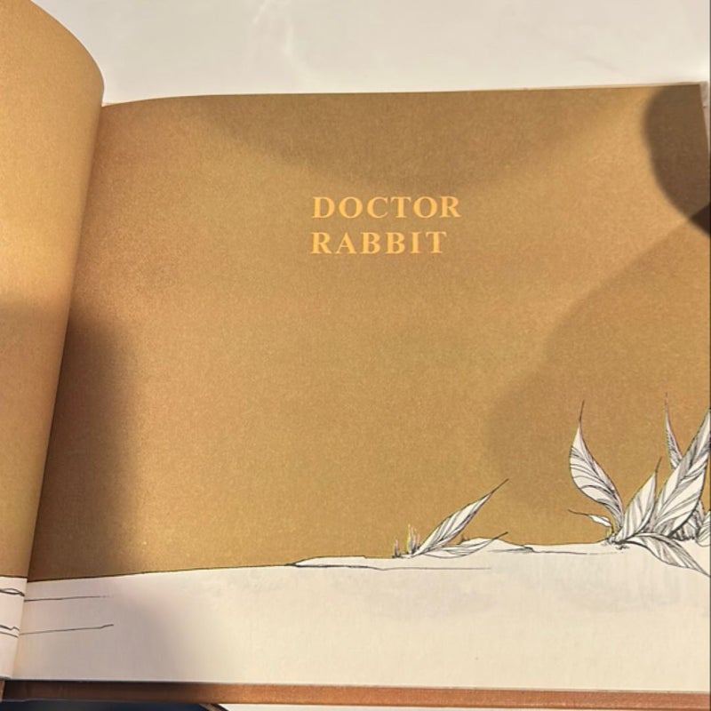 Doctor Rabbit