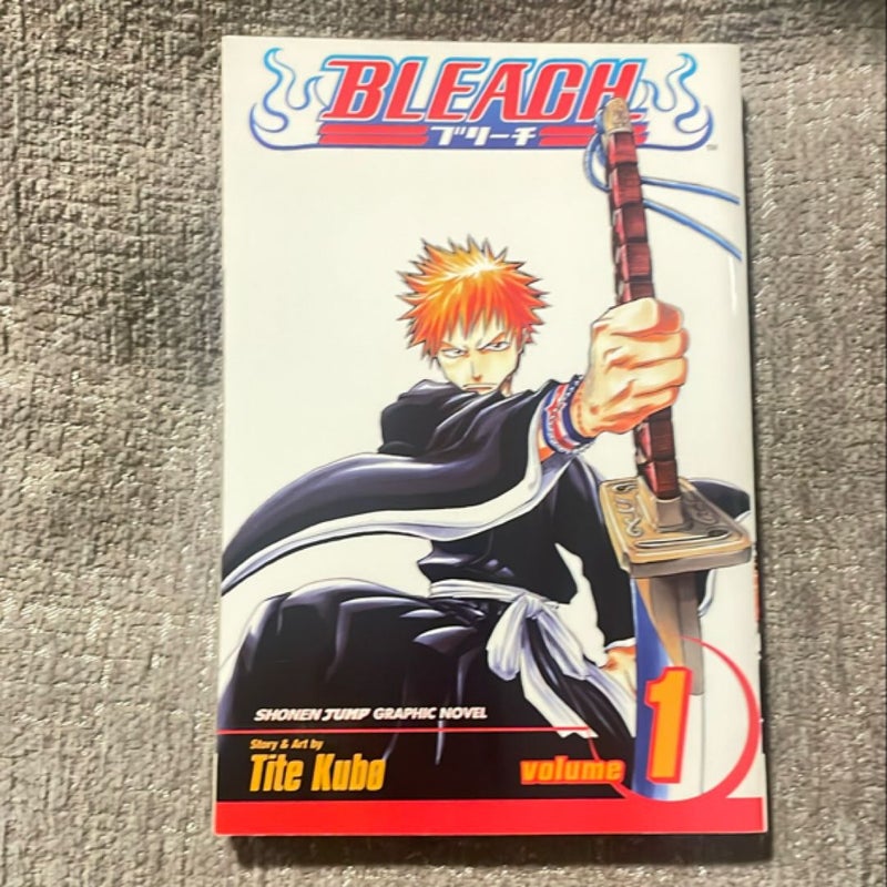 Bleach, Vol. 1