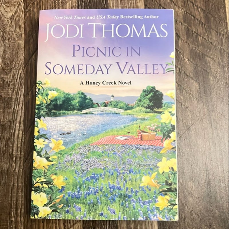 Picnic in Someday Valley