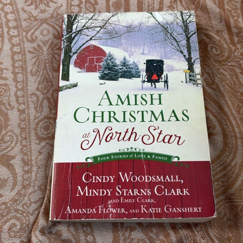 Amish Christmas at North Star