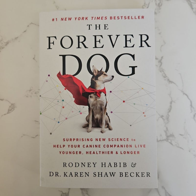 The Forever Dog