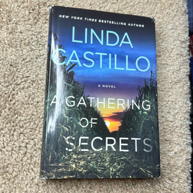 A Gathering of Secrets