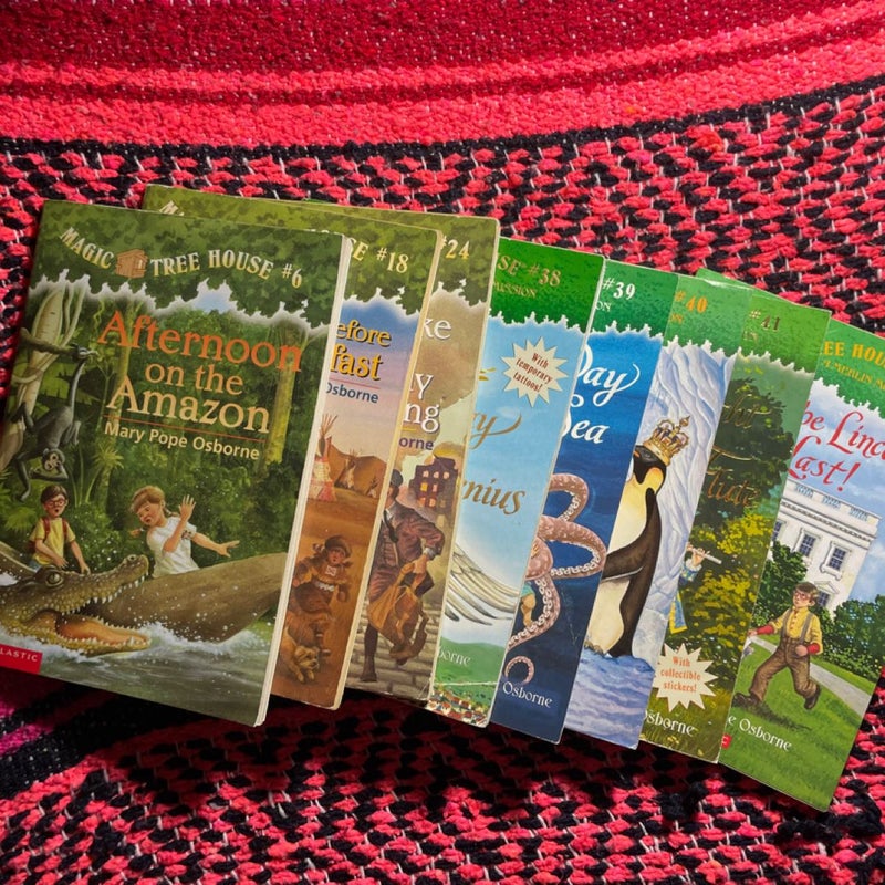 Magic Treehouse books misc 