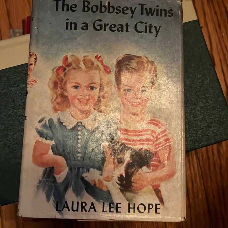 The Bobbsey Twins in a Great City