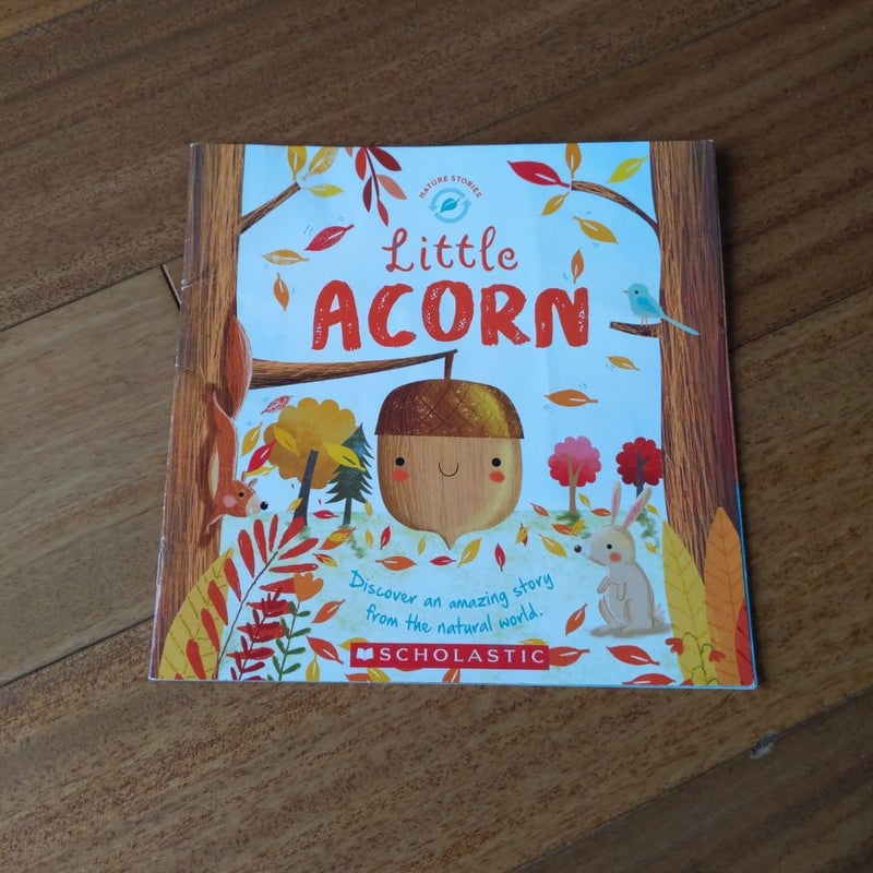 Little Acorn